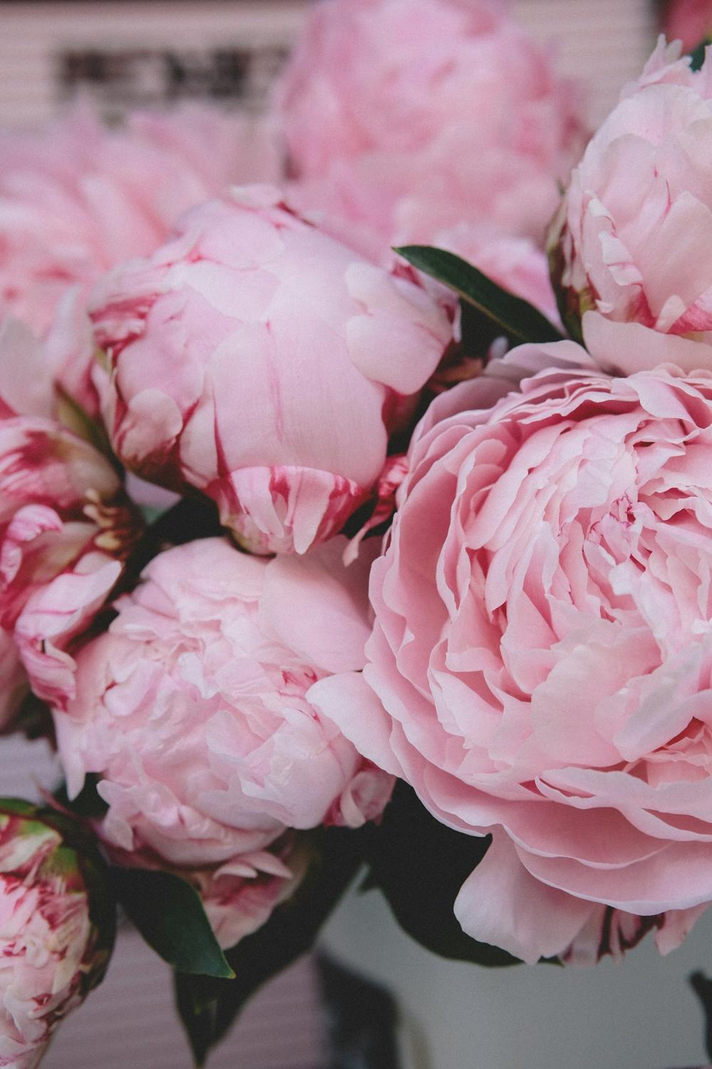 Mother's Day flowers